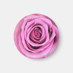 Imán de círculo rosa