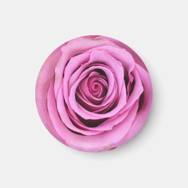 Imán de círculo rosa (Frente)