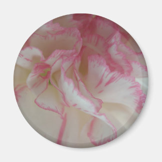 Imán de clavación blanco y rosa