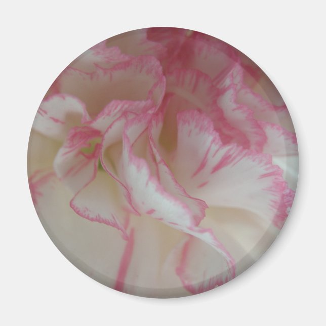 Imán de clavación blanco y rosa (Frente)