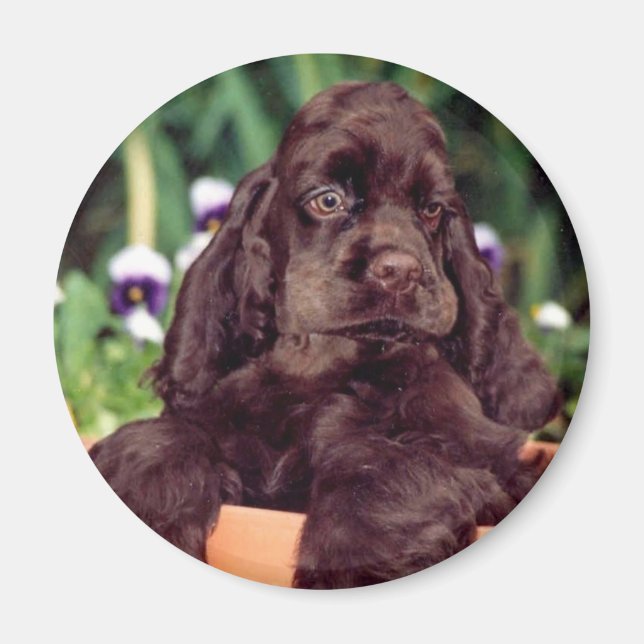 Imán de cocción de chocolate (Frente)