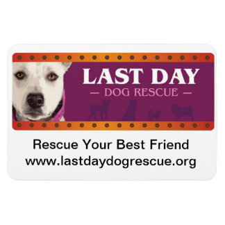 Imán de coches LDDR