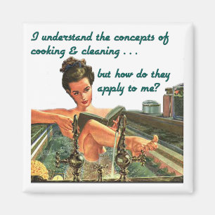 Imán de cocinar y de limpieza de los conceptos