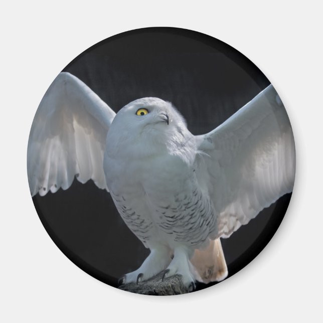 Imán de comprobación previa al vuelo (Frente)