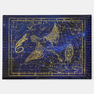 imán de constelación de lagarto y cisne