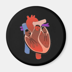 Imán De corazón abierto