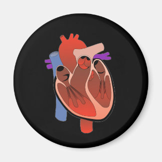 Imán De corazón abierto