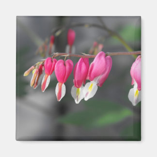 Imán de corazones colgantes