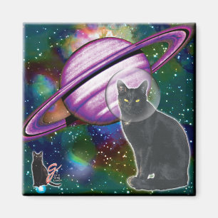 Imán de Cosmo del Espacio-Gato