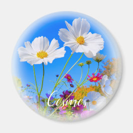 Imán de Cosmos