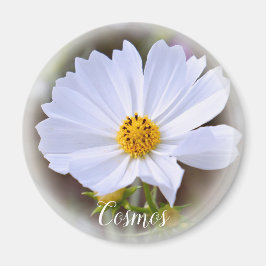 Imán de Cosmos