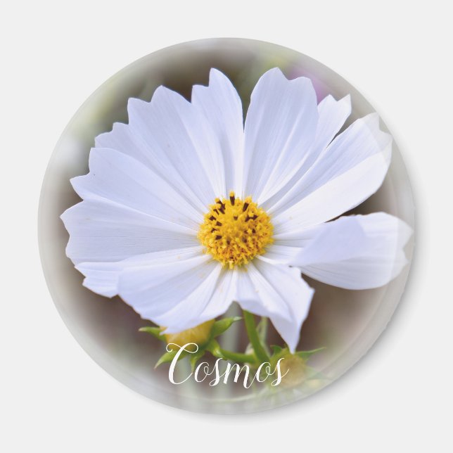 Imán de Cosmos (Frente)