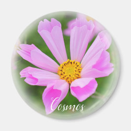 Imán de Cosmos