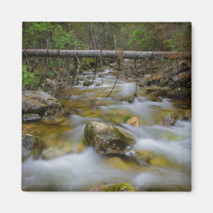 Imán de crema de bosque rocoso