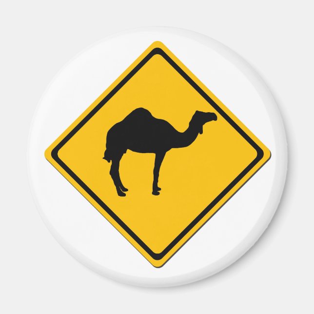 imán de cruce de camellos (Frente)