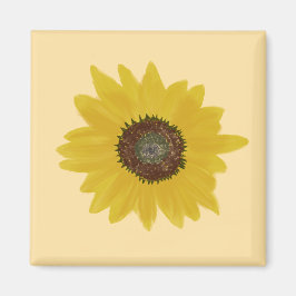 Imán de Cuadrado de Girasol