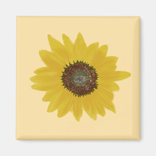 Imán de Cuadrado de Girasol