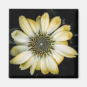 Imán de deflector amarillo de flores de miel