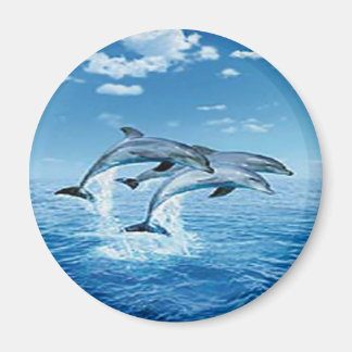 imán de delfines de aire