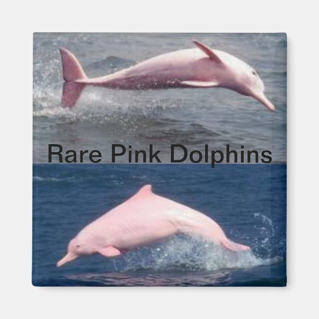 imán de delfines rosados poco comunes (Frente)