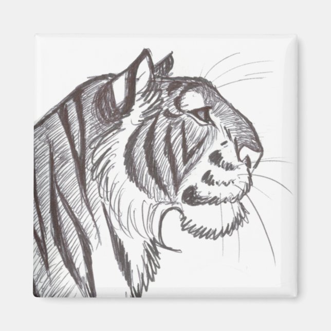 Imán de dibujo de tigre hermoso (Frente)