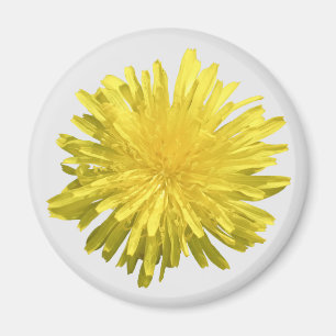 Imán de Diente de León Amarillo