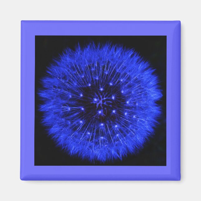 Imán de diseño de la puff azul de Dandelion (Frente)