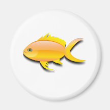 Imán de diseño de pescado colorido