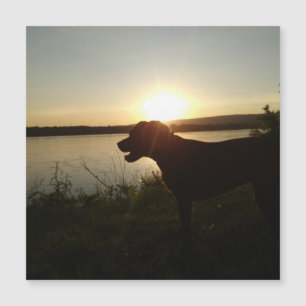 Imán de diseño floral colorido