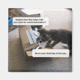 Imán de dominación del mundo del gato