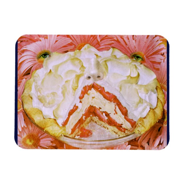 Imán de encaje (Horizontal)