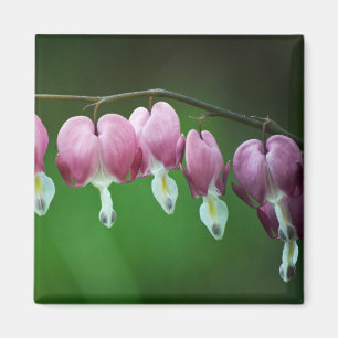 Imán de encantos rosados