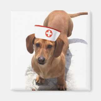 Imán de enfermería de Dachshund