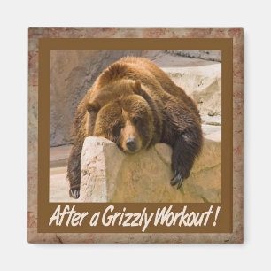 Imán de entrenamiento de grizzly
