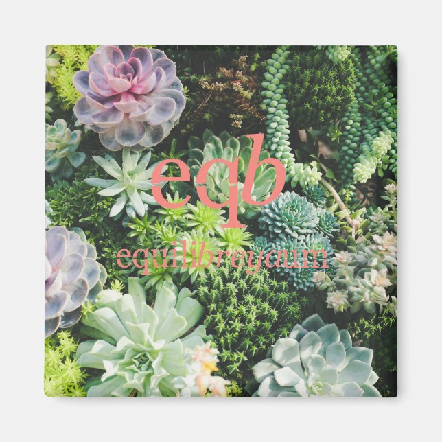 imán de equilibrio (Frente)