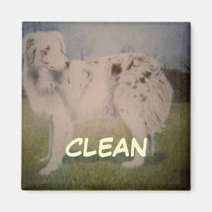 Imán de estado del lavaparabrisas