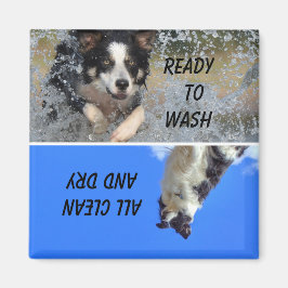 Imán de estado del lavavajillas