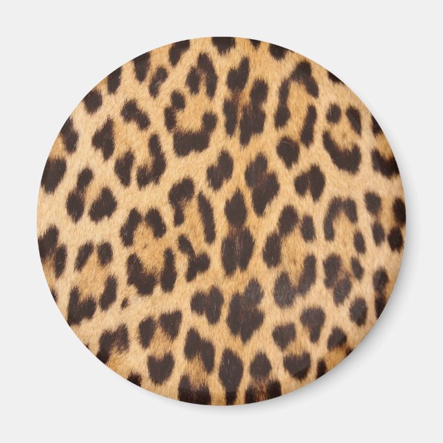 Imán de Estampado de Leopardo (Frente)