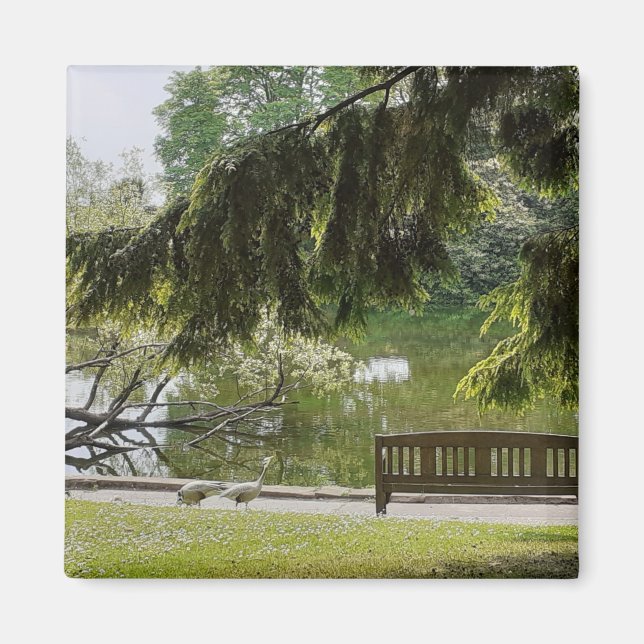 Imán de estanques ornamentales (Frente)