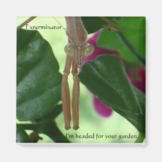 Imán de exterminador