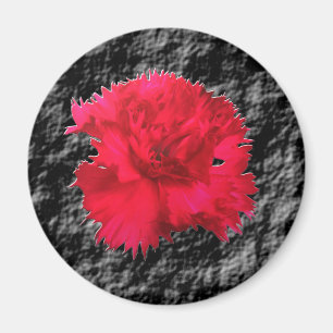 Imán de Fantasía Floral Clavel Rojo