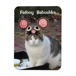 IMÁN DE FATBOY