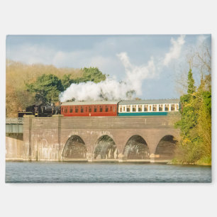 Imán de ferrocarril de vapor