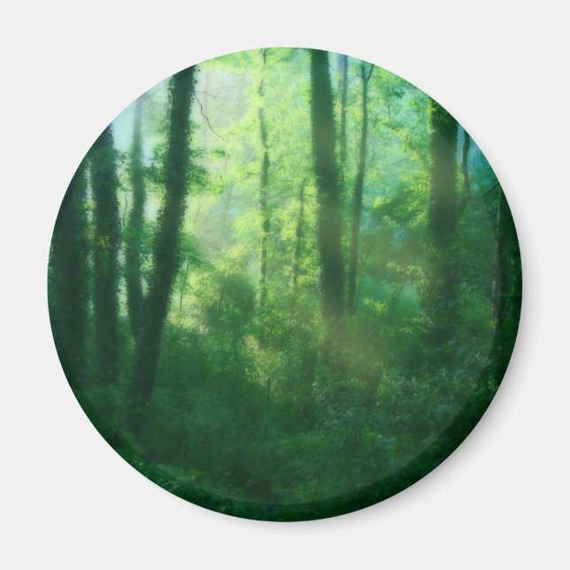 Imán de fertilidad (Frente)