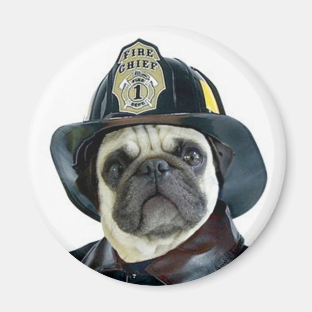 imán de Fireman Pug (Frente)