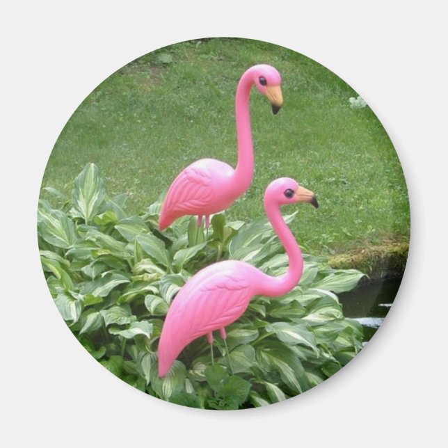 imán de FLAMENCOS ROSAS (redondo) (Frente)