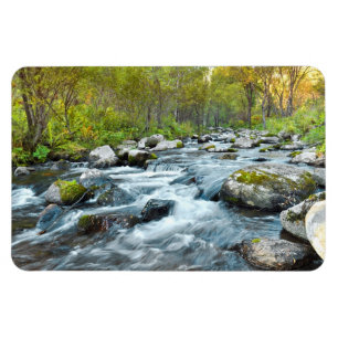 Imán de Flexi de la cala del río que fluye