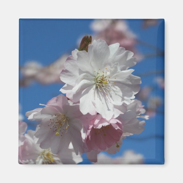 Imán de flor (Frente)