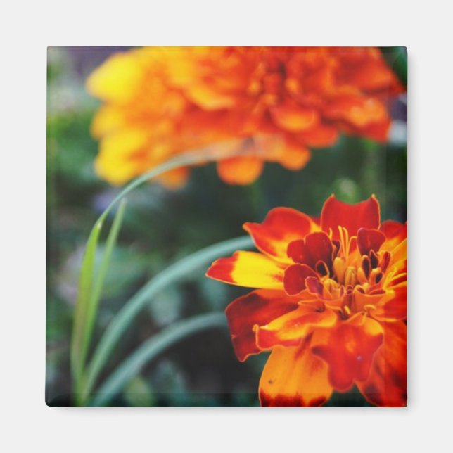 Imán de flor (Frente)