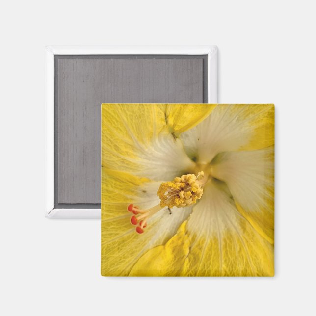 Imán de flor (Anverso/Reverso)